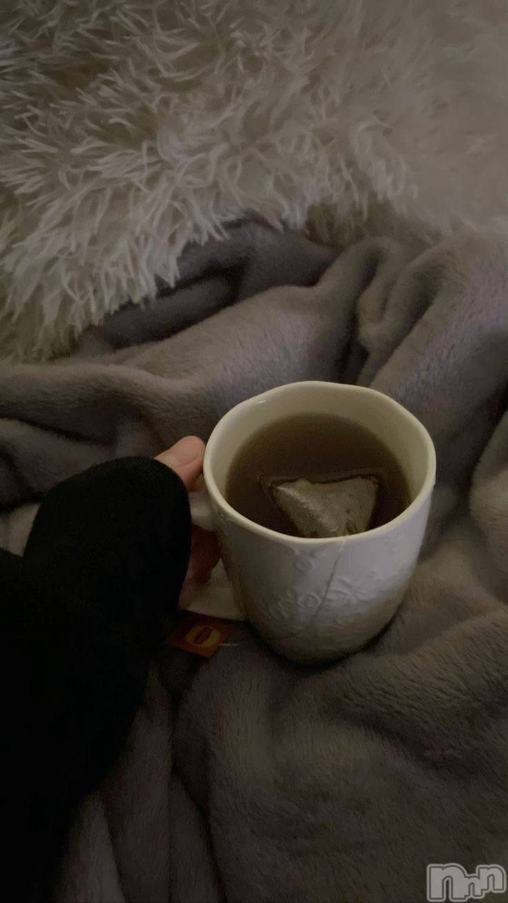 Ĺ襳ѥ˥󥯥ֻ Ĺѥ˥¡cocona() 2025ǯ1124̥֥֤䤹ߡ