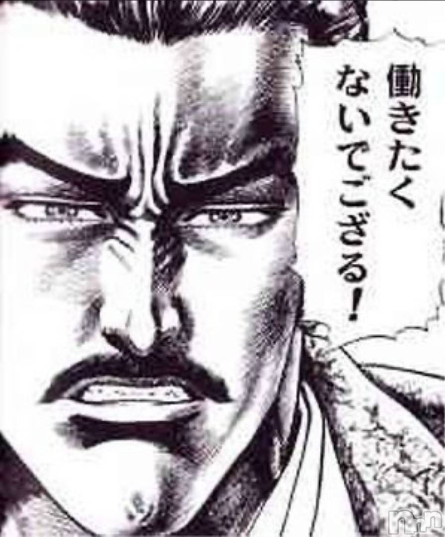 Ĺ襳ѥ˥󥯥ֻ Ĺѥ˥¡cocona() 2025ǯ1118̥֥ܤw