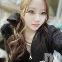 ��Į����Х��顦����� salon do����(������ɥ����) �Ҥʤβ���(2����)