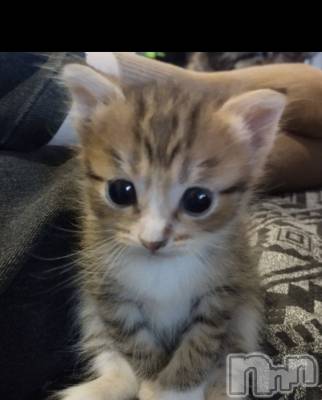 ��Ʋ����Х��顦�����CLUB FOUR GARDEN(����֡��ե��������ǥ�) ��ʤ�11��26���̥�֥�����11��26�� 20��11ʬ�Υ֥�����