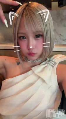 ���ɤ͡���🐈‍⬛