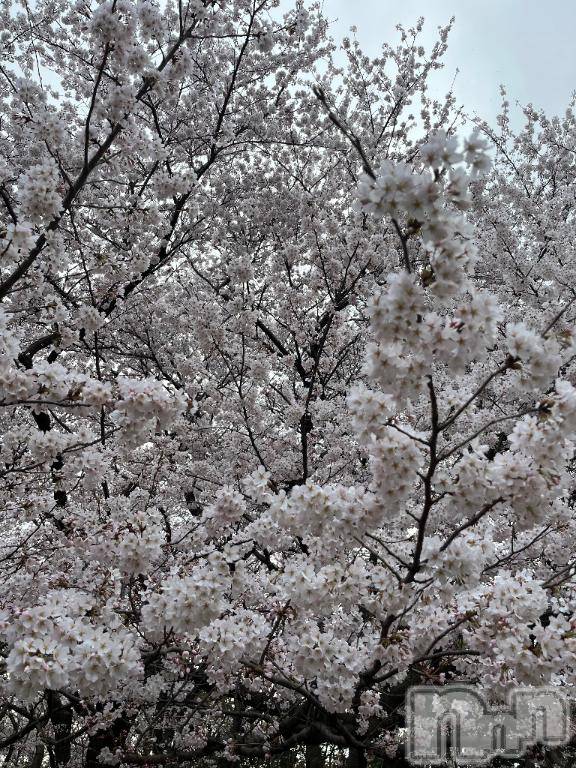 新潟デリヘルMinx(ミンクス) 穂乃【新人】(20)の4月13日写メブログ「お熱です🤒」