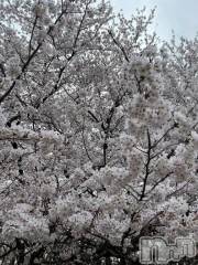 新潟デリヘルMinx(ミンクス) 穂乃【新人】(20)の4月13日写メブログ「お熱です🤒」