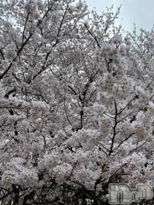 新潟デリヘル Minx(ミンクス) 穂乃【新人】(20)の4月13日写メブログ「お熱です🤒」