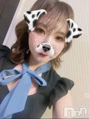 ꥫ(ҥߥ) Ĺ155cmĮХ顦 salon do(ɥ)ҡ