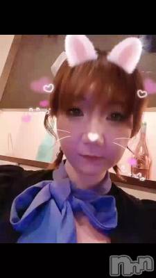 �쥢��������🌟