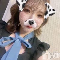 ꥫ(ҥߥ) Ĺ155cmĮХ顦 salon do(ɥ)ҡ