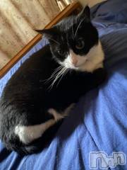 長岡デリヘルBIANCA～主人の知らない私～長岡店(ビアンカナガオカテン) 美甘　きえ(29)の2月22日写メブログ「たいきっ！」