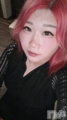 ʥå륺СSNACK Himawari(ʥåҥޥ) (31)1121̥֥