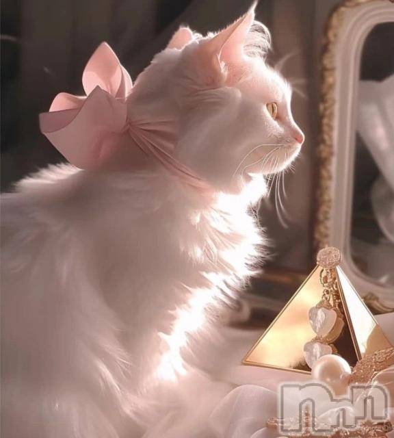 上越デリヘルBLUE BIRD上越店(ブルーバード上越店)あまね(20)の2025年11月27日写メブログ「帰宅໒꒱· ﾟ」