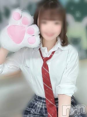 にこ(20) 身長147cm、スリーサイズB84(C).W56.H82。新潟デリヘル アミューズメントデリバリーヘルス  ガロパ(アミューズメントデリバリーヘルスガロパ)在籍。