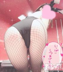 新潟ソープ新潟バニーコレクション(ニイガタバニーコレクション) アンズ(24)の12月5日写メブログ「ちょっと触れるだけで♡♡」