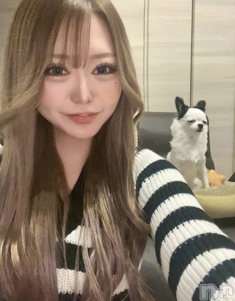 Х顦Armada(ޡ) Τ1123̥֥©ҡ