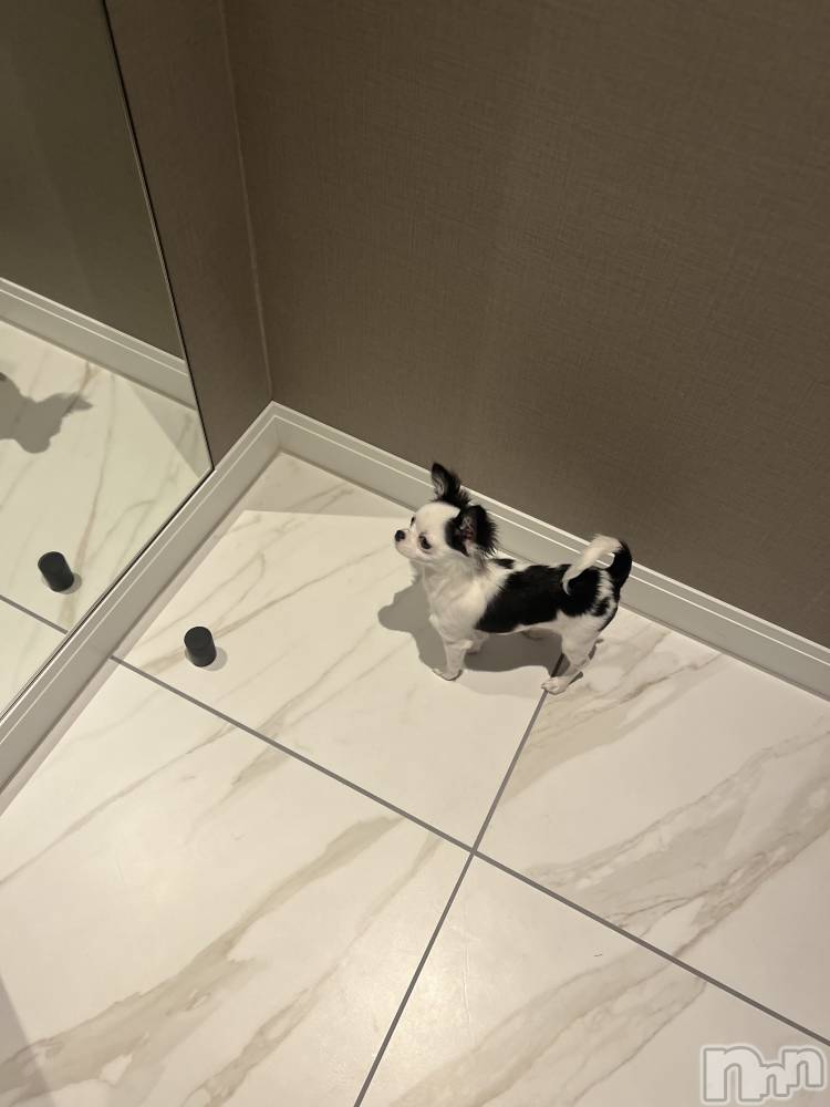 Х顦Armada(ޡ) Τ124ָ̥֥̤