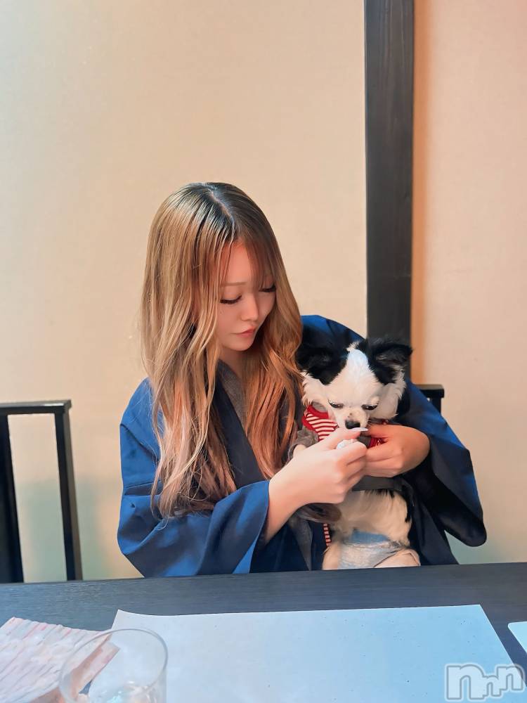 �����������Х��顦�����Armada(����ޡ���) ����Τ�12��15���̥�֥����֤Ĥ餤���á�