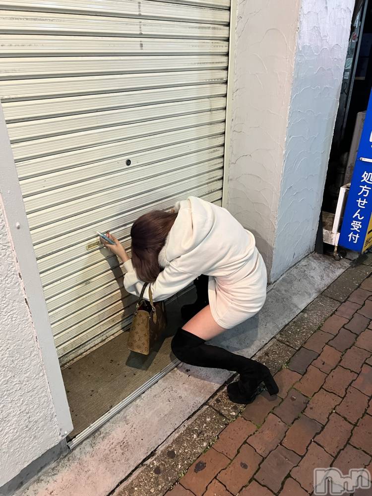 �����������Х��顦�����Armada(����ޡ���) ����Τ�1��5���̥�֥�����2026ǯ�ϡ�