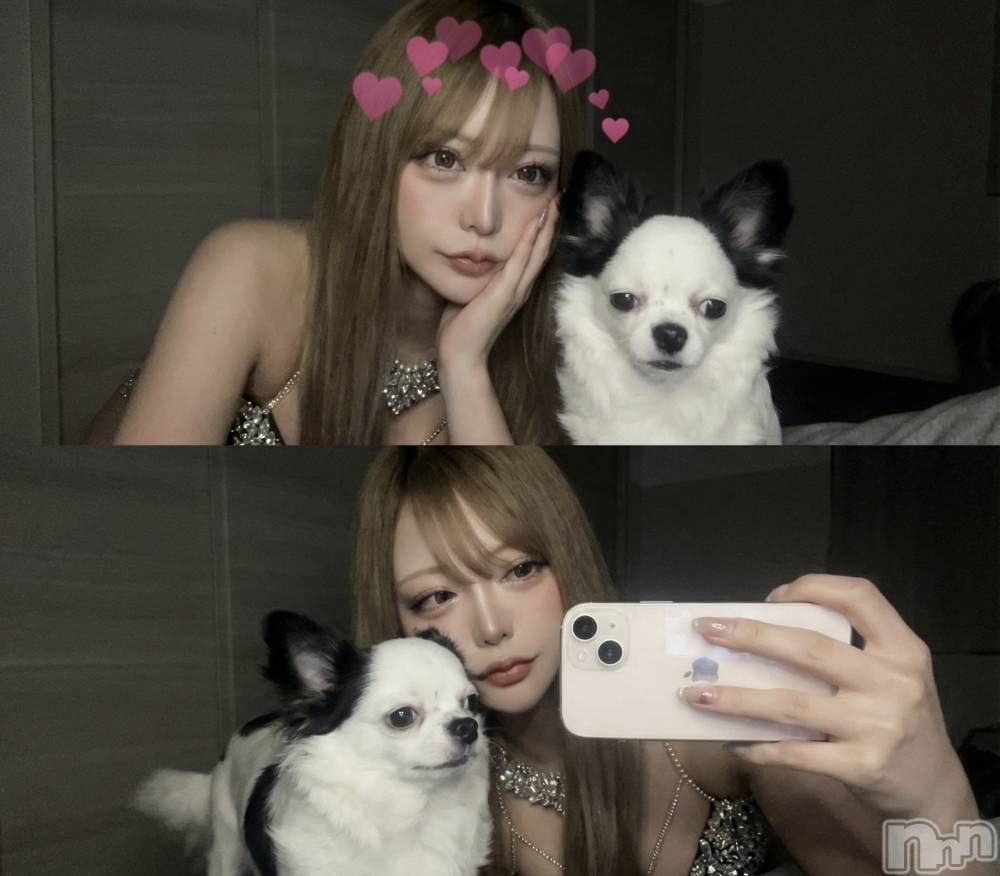 �����������Х��顦�����Armada(����ޡ���) ����Τ�1��13���̥�֥����ַ�᤿����