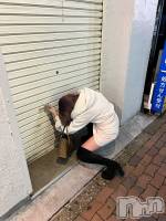 �����������Х��顦�����Armada(����ޡ���) �����(24)��1��5���̥�֥�����2026ǯ�ϡ�