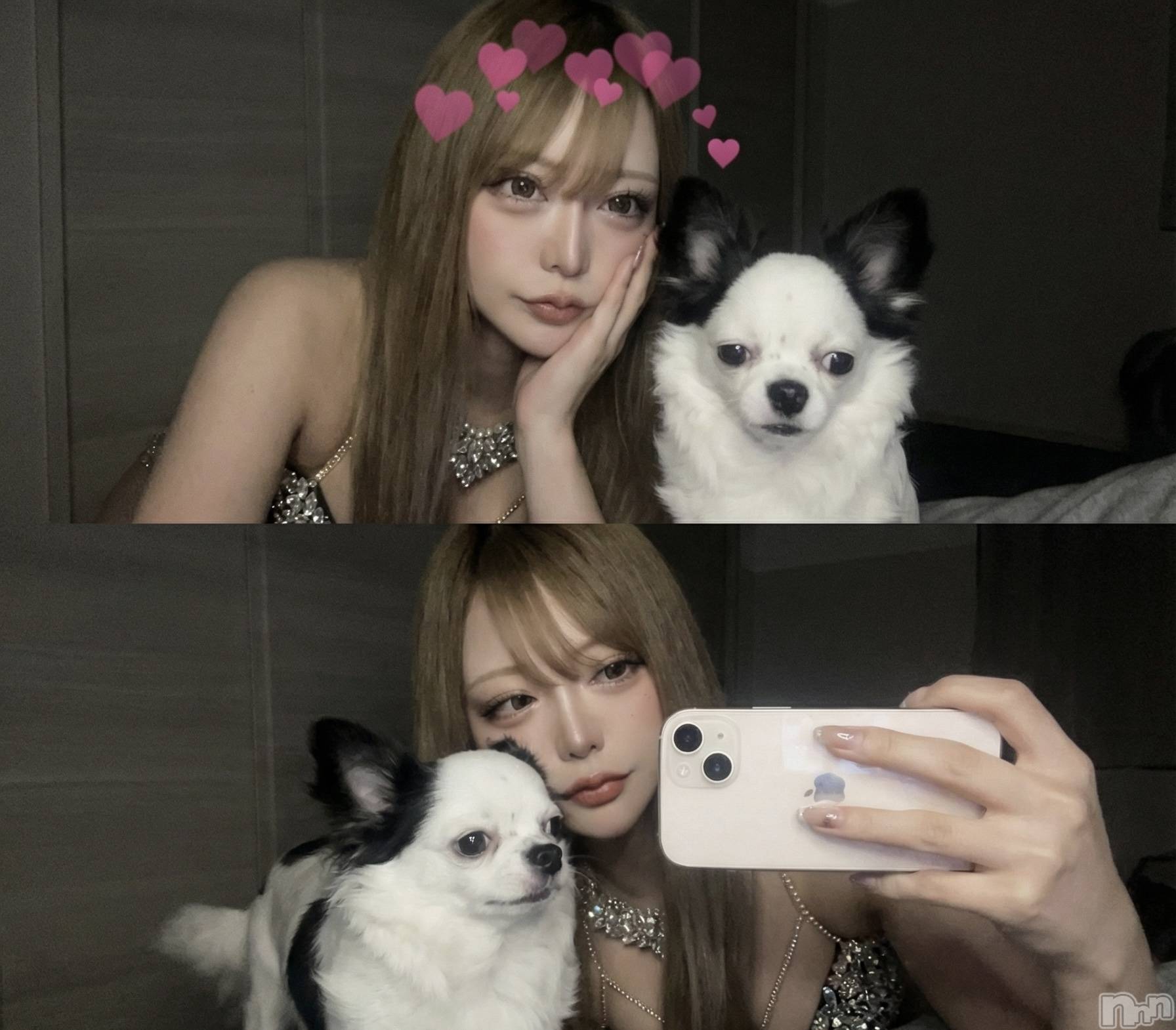 �����������Х��顦�����Armada(����ޡ���) ��2026ǯ1��13���̥�֥����ַ�᤿����