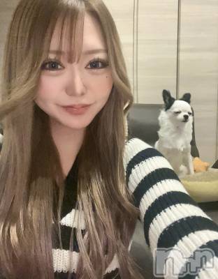 Х顦Armada(ޡ) (24)1123̥֥©ҡ