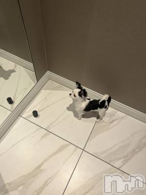 �����������Х��顦�����Armada(����ޡ���) �����(24)��12��4���̥�֥����ָ����̤����