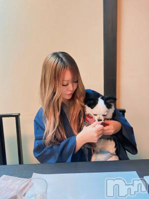 �����������Х��顦�����Armada(����ޡ���) �����(24)��12��15���̥�֥����֤Ĥ餤���á�