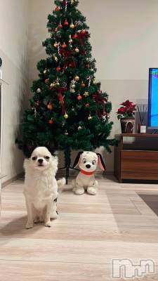 �����������Х��顦�����Armada(����ޡ���) �����(24)��12��17���̥�֥����֥������