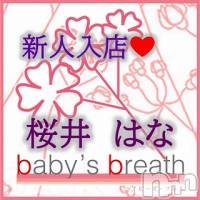 桜井はな【新人】