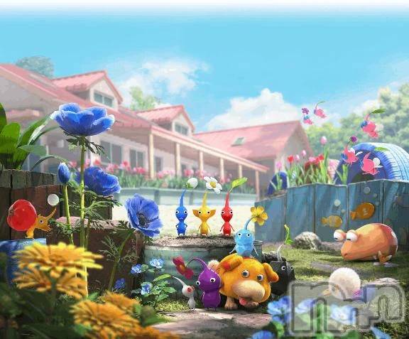 新潟デリヘル新潟市鳥屋野潟ちゃんこ(ニイガタシトヤノガタチャンコ) あさお(20)の11月27日写メブログ「ﾆｮｷ」