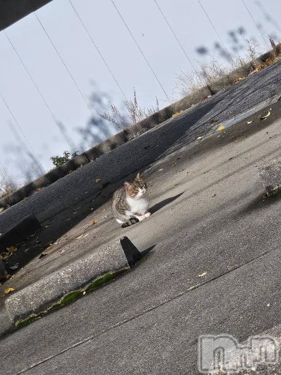 新潟デリヘル新潟市鳥屋野潟ちゃんこ(ニイガタシトヤノガタチャンコ)あさお(20)の2025年12月4日写メブログ「ただいま( ´ ▽ ` )ﾉ」