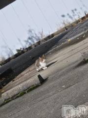 新潟デリヘル新潟市鳥屋野潟ちゃんこ(ニイガタシトヤノガタチャンコ) あさお(20)の12月4日写メブログ「ただいま( ´ ▽ ` )ﾉ」