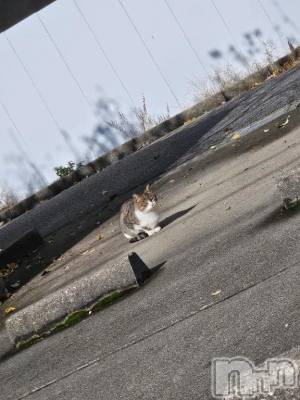 新潟デリヘル 新潟市鳥屋野潟ちゃんこ(ニイガタシトヤノガタチャンコ) あさお(20)の12月4日写メブログ「ただいま( ´ ▽ ` )ﾉ」