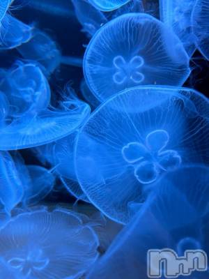 長岡デリヘル ROOKIE(ルーキー) さきか☆完全業界未経験(23)の12月14日写メブログ「今週ラスト✊🏻」