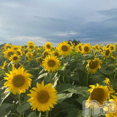 長岡デリヘル ROOKIE(ルーキー) さきか☆完全業界未経験(23)の1月30日写メブログ「本日出勤💆🏻」