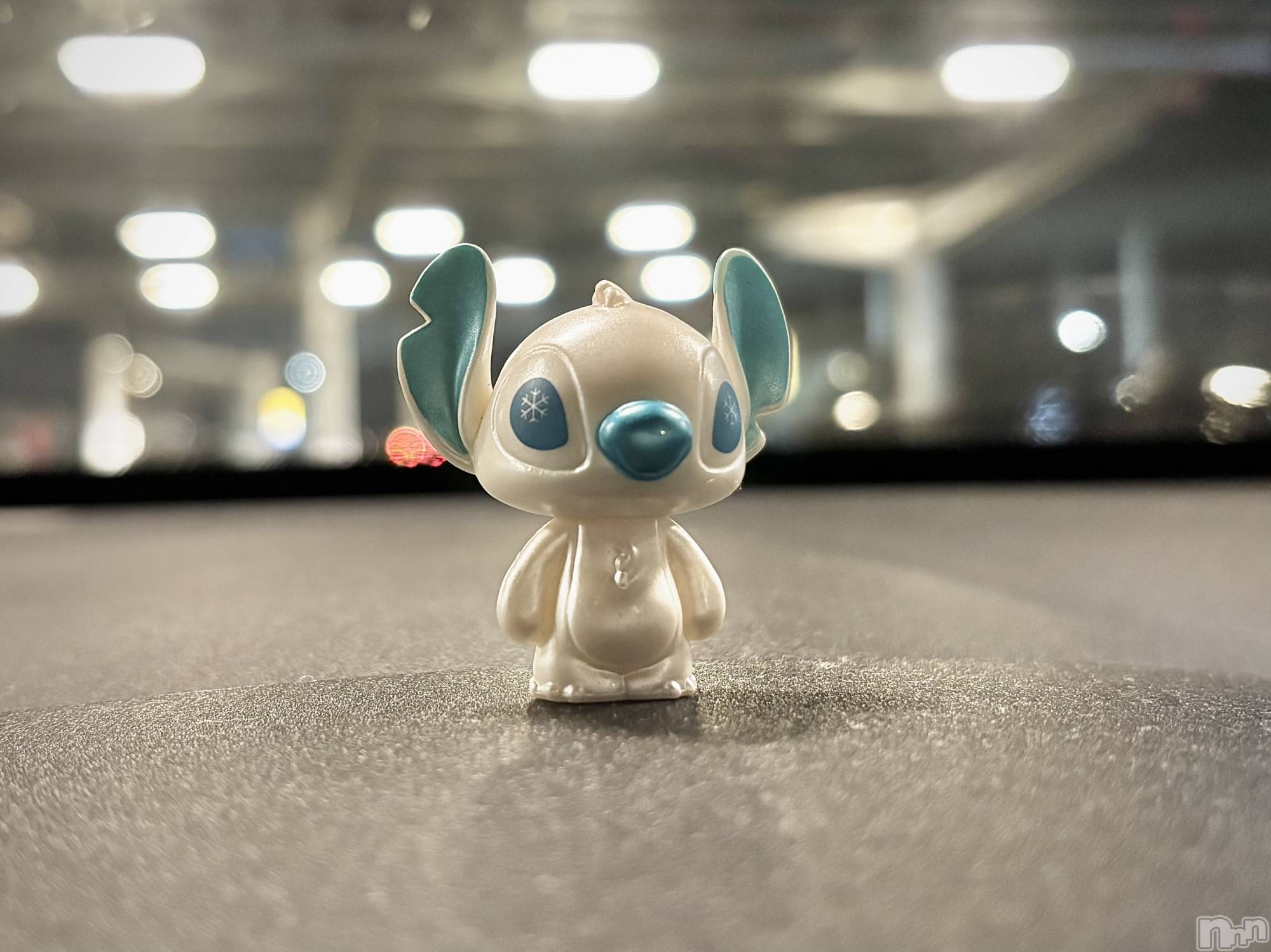 ��ˬ����Х��顦����֥���� �ץ���� ��ˬ(����� �ץ���� ����) ��2025ǯ11��27���̥�֥�����11/27��