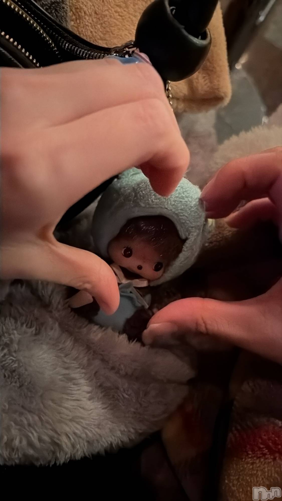 ��ˬ����Х��顦����֥���� �ץ���� ��ˬ(����� �ץ���� ����) ��2025ǯ12��11���̥�֥�����12/11��