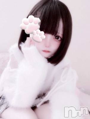 こより(21) 身長145cm、スリーサイズB84(C).W56.H85。新潟デリヘル 新潟市鳥屋野潟ちゃんこ(ニイガタシトヤノガタチャンコ)在籍。