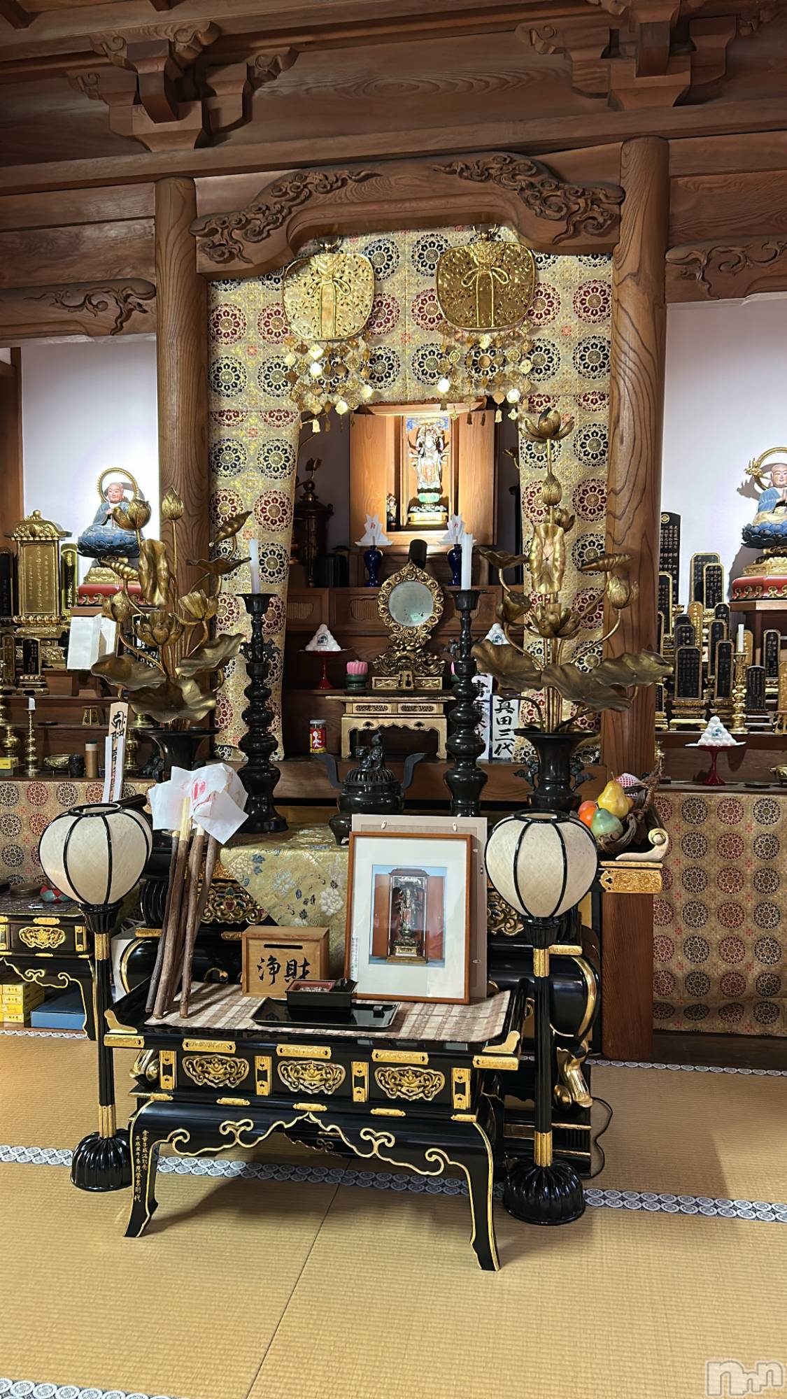 ȯѥ˥󥯥֥ѥ˥󥯥 饤 2025ǯ1118̥֥˹ԤäƤޤ⭐️