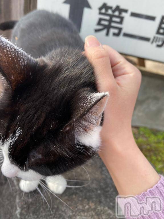 新潟デリヘルMelt(メルト) 【新人】なほ(24)の12月22日写メブログ「27日も出勤します📢」