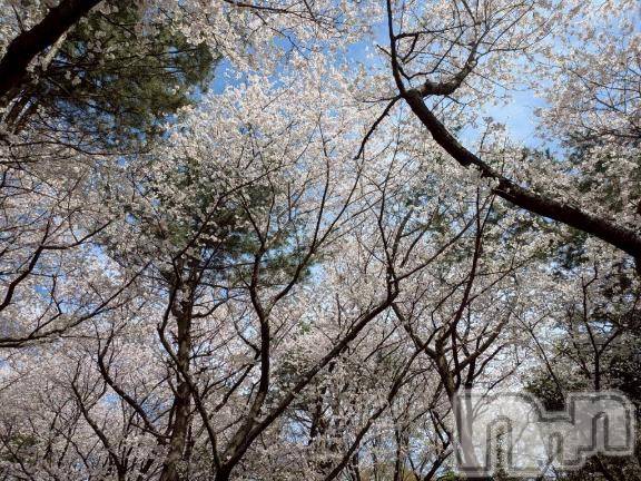 新潟デリヘルMelt(メルト) なほ(24)の4月7日写メブログ「ご予約承り中」