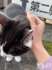 新潟デリヘルMelt(メルト) なほ(24)の12月22日写メブログ「27日も出勤します📢」