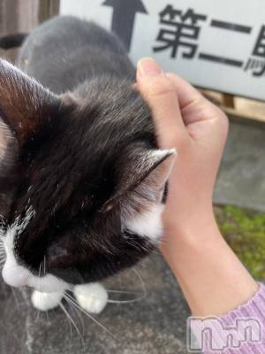 新潟デリヘル Melt(メルト) 【新人】なほ(24)の12月22日写メブログ「27日も出勤します📢」