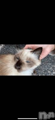 新潟デリヘル Melt(メルト) 【新人】なほ(24)の1月7日写メブログ「お礼🙇🏼🎀」