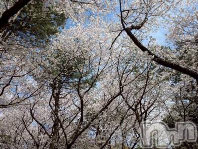 新潟デリヘル Melt(メルト) なほ(24)の4月7日写メブログ「ご予約承り中」