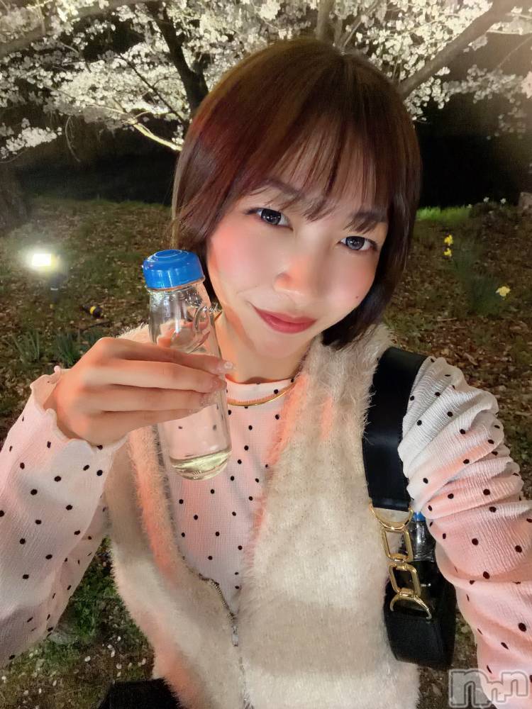 ��Ʋ����Х��顦����֥���ֲڲСݣȣ��Σ��£ɡ�(����֥ϥʥ�) ���ۤ�4��10���̥�֥����֤��ָ�������🌸♡��