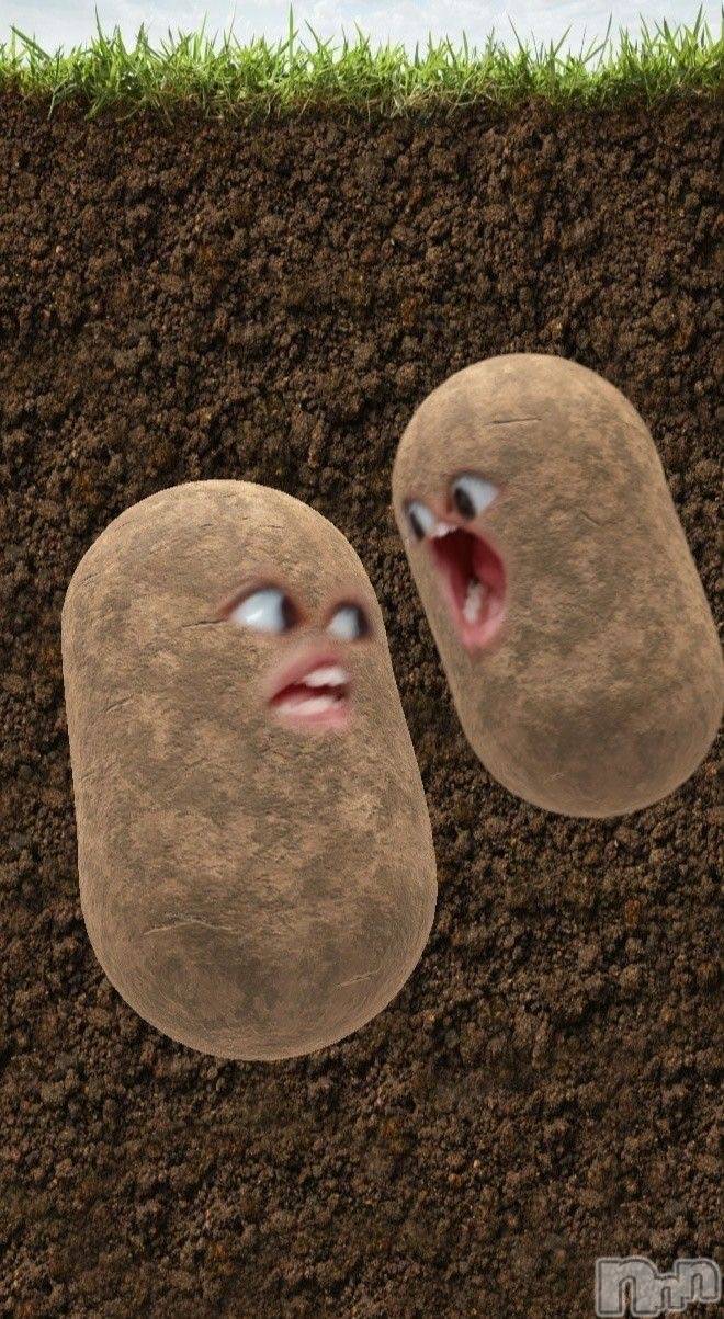 Ĺ�����������襳��ѥ˥��󥯥�ֻ��� Ĺ������ѥ˥����¡�cocona��(������) ��2026ǯ1��2���̥�֥�����ꉂꉂ🤣w‪𐤔‪𐤔w��