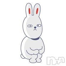 Ĺ�����������襳��ѥ˥��󥯥�ֻ��� Ĺ������ѥ˥����¡�cocona��(������) �椤�ʤ���ô����3��26���̥�֥����֤ޤ������!!!!��