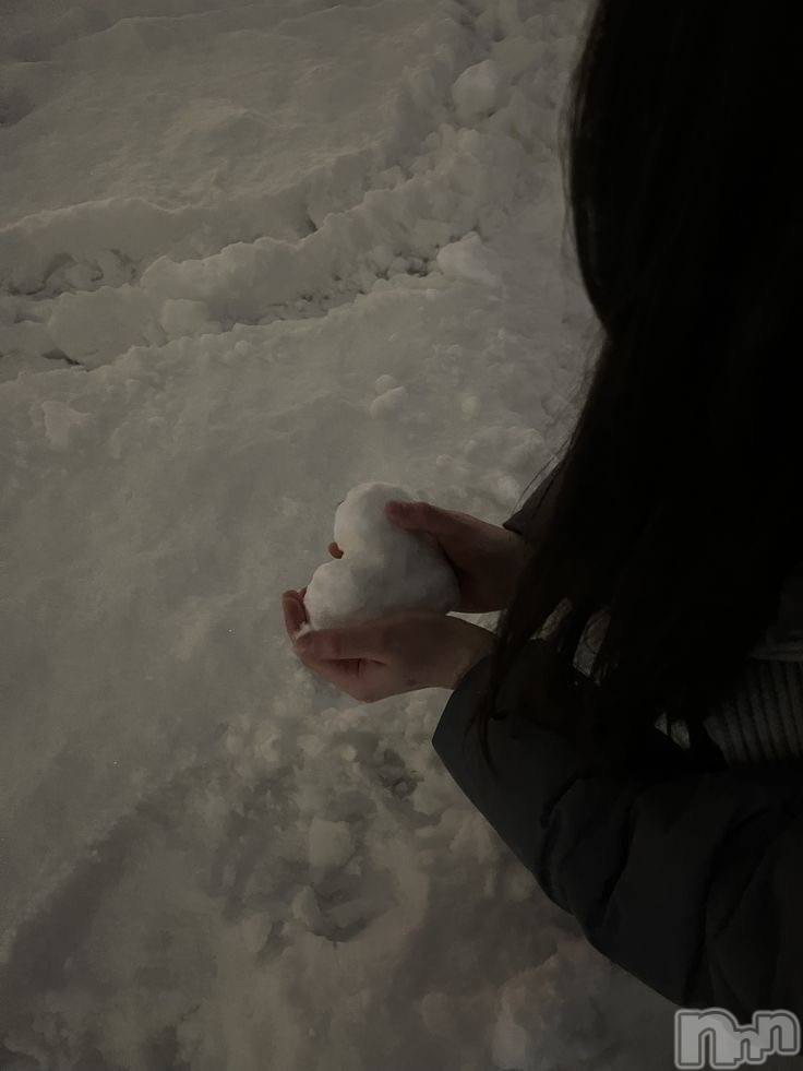 Ĺ�����������襳��ѥ˥��󥯥�ֻ��� Ĺ������ѥ˥����¡�cocona��(������) ��2026ǯ1��18���̥�֥����֥ϡ��ȡ�