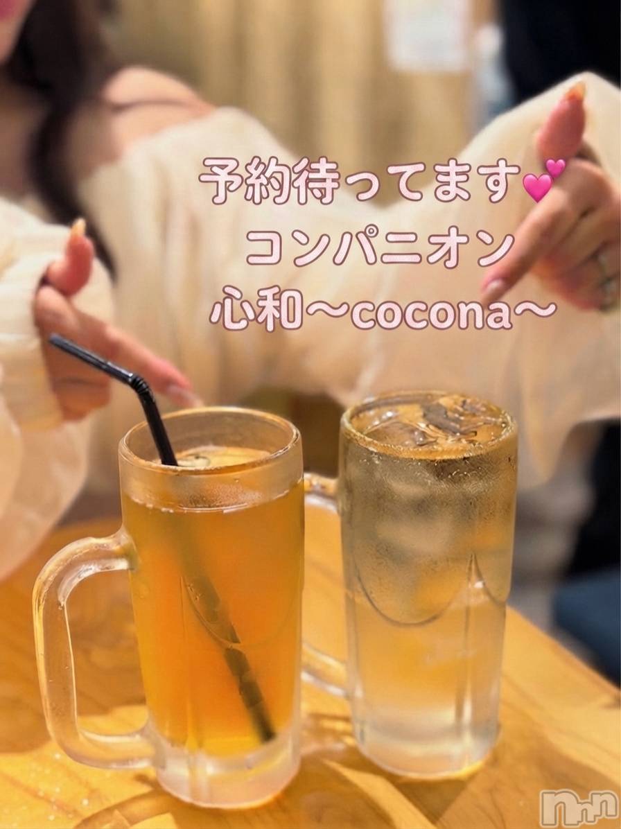 Ĺ�����������襳��ѥ˥��󥯥�ֻ��� Ĺ������ѥ˥����¡�cocona��(������) ��2026ǯ7��5���̥�֥����ְ��˰��⤦��🎆��