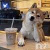 ゆいなお酒担当の最新ブログ「心臓がもたない」
